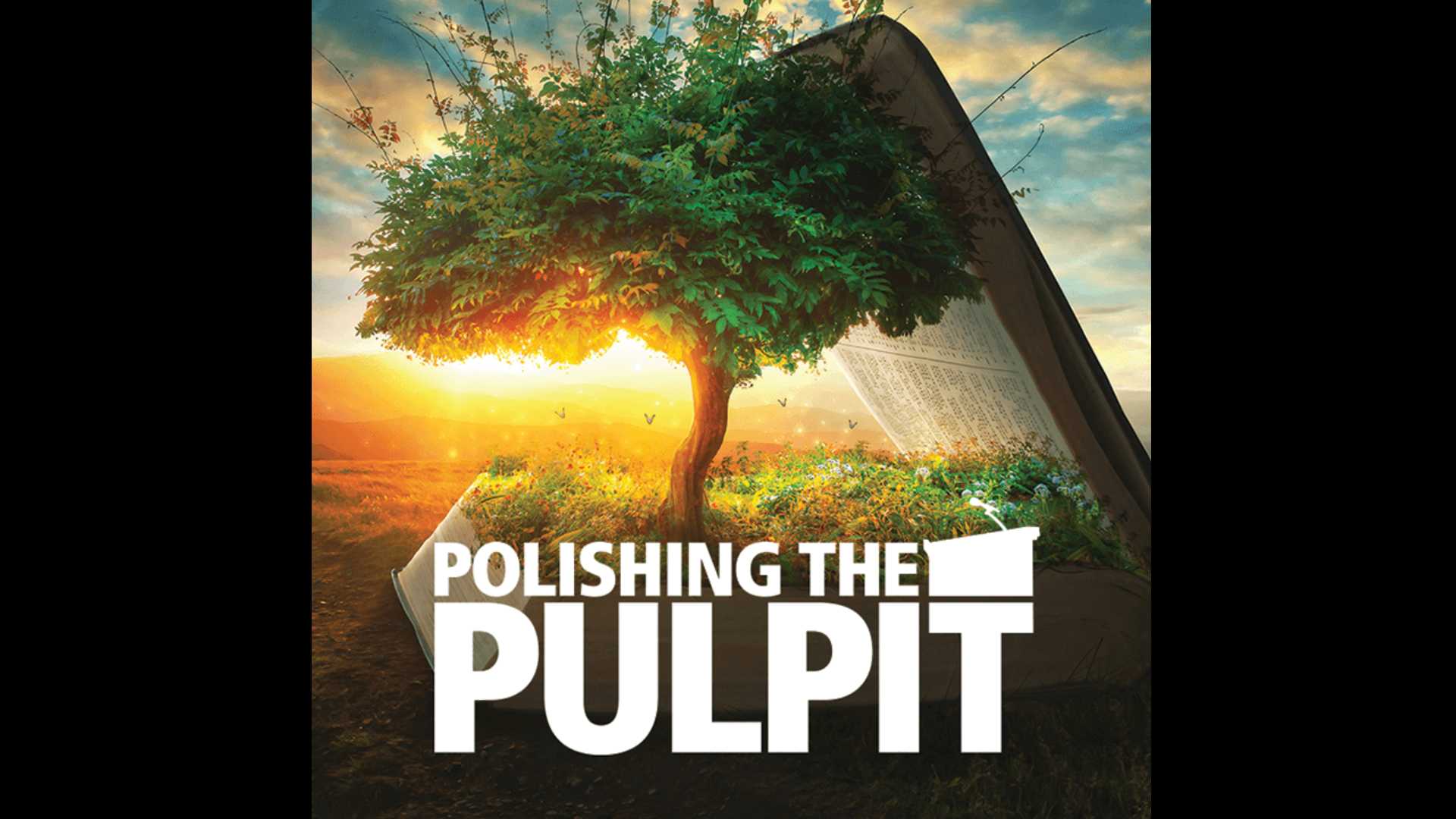 Polishing the Pulpit