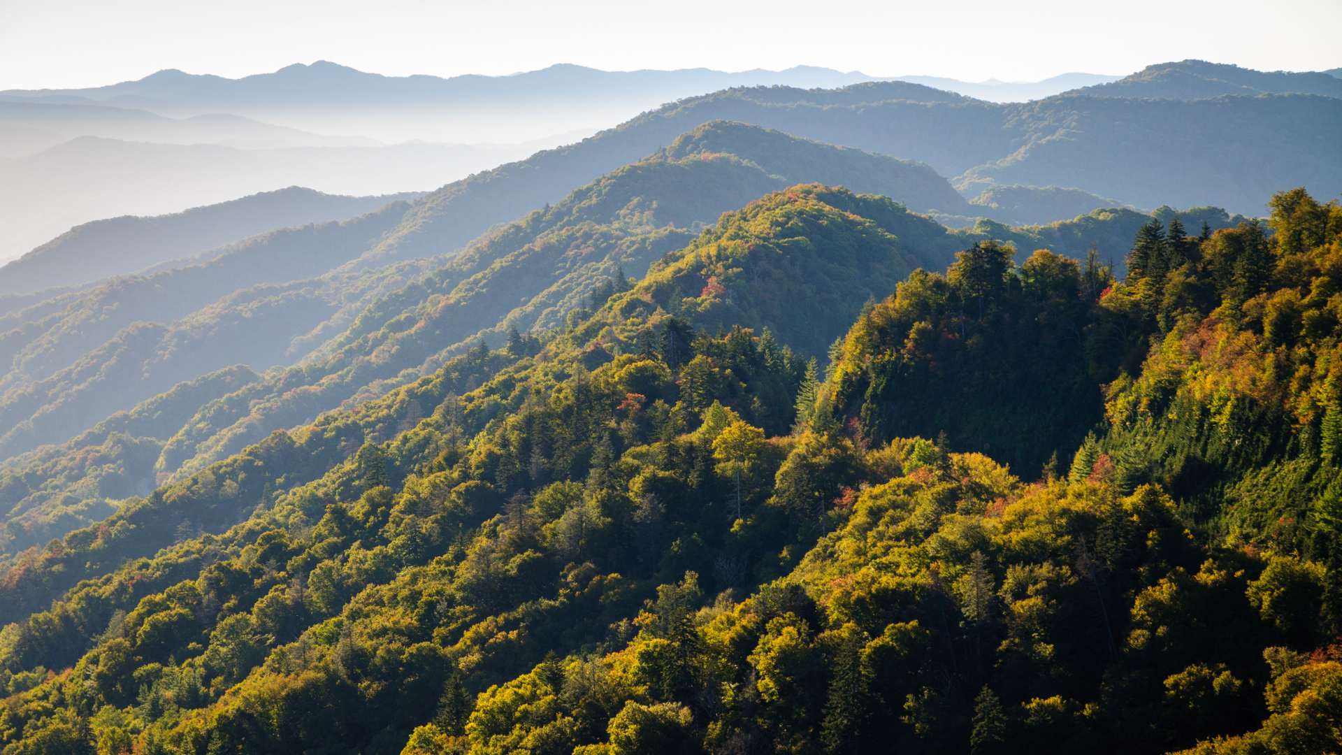 Great Smoky Mountains National Park