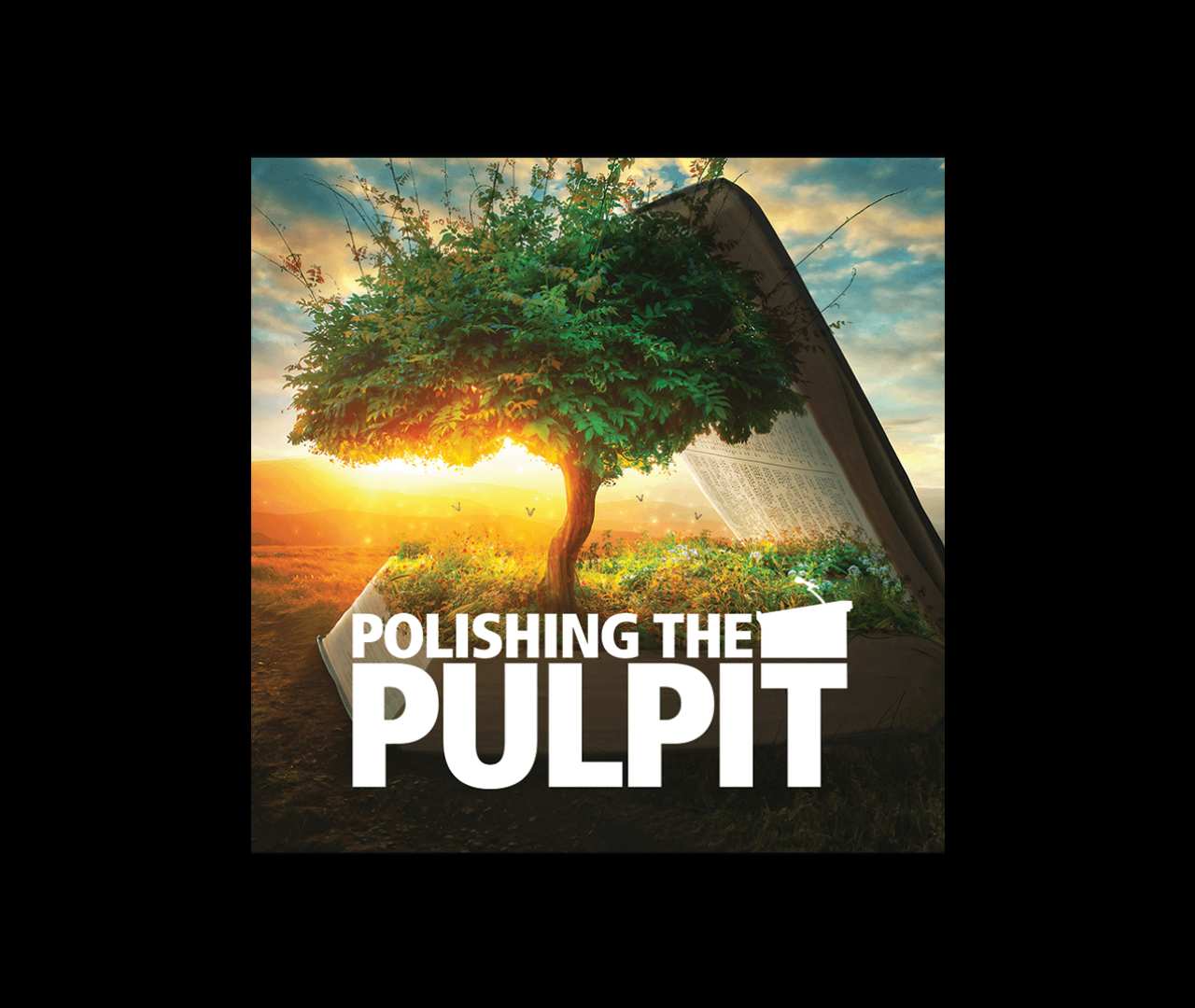 Polishing the Pulpit