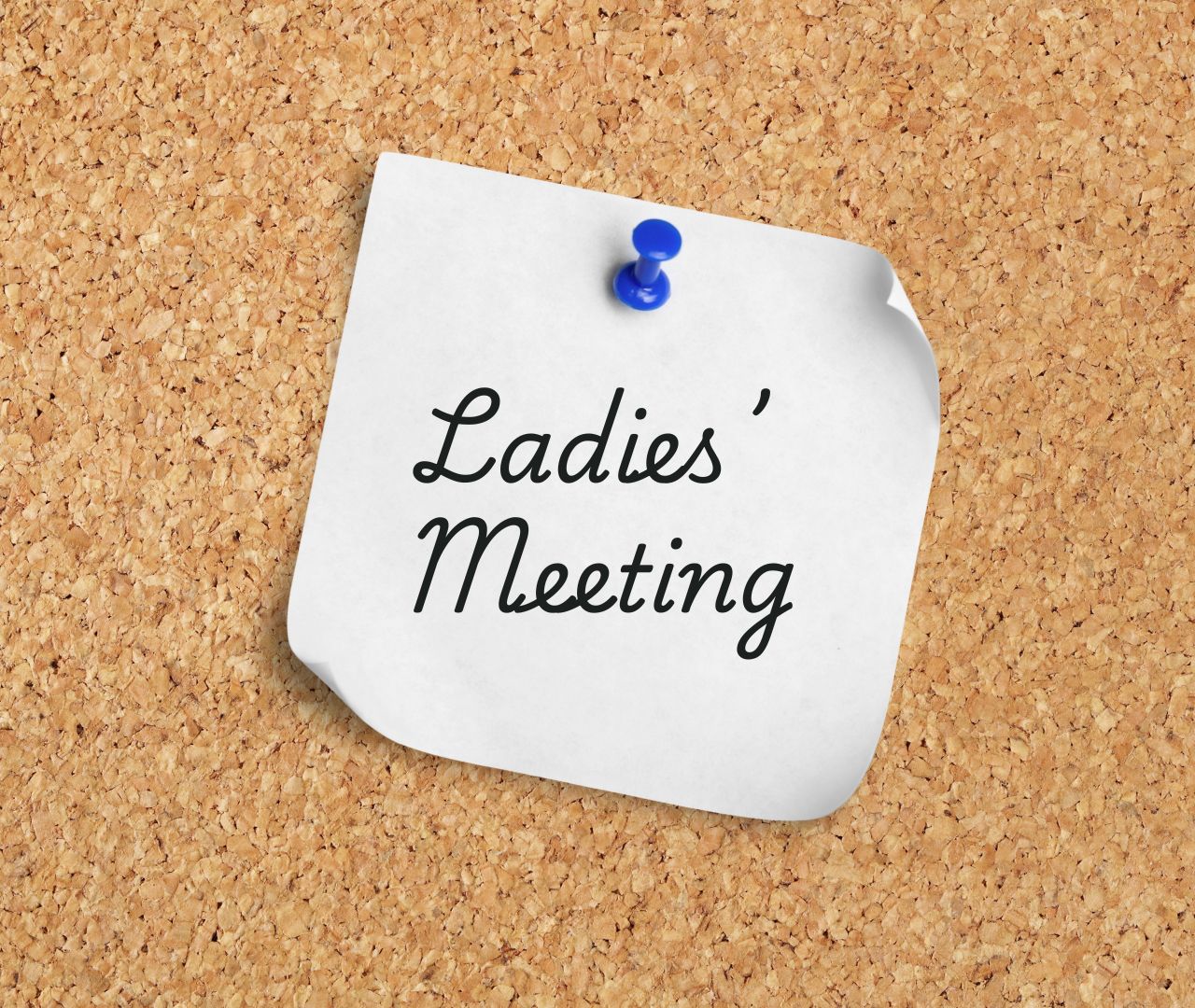 Ladies Meeting