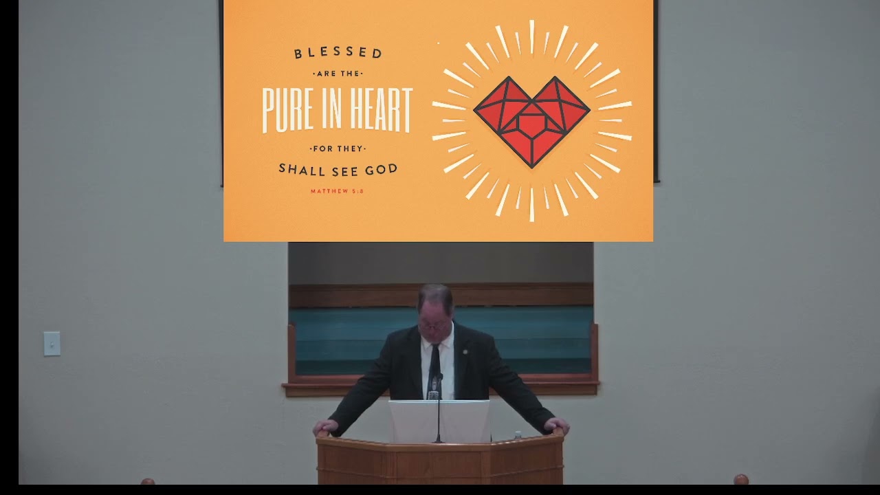 Blessed Are The Pure In