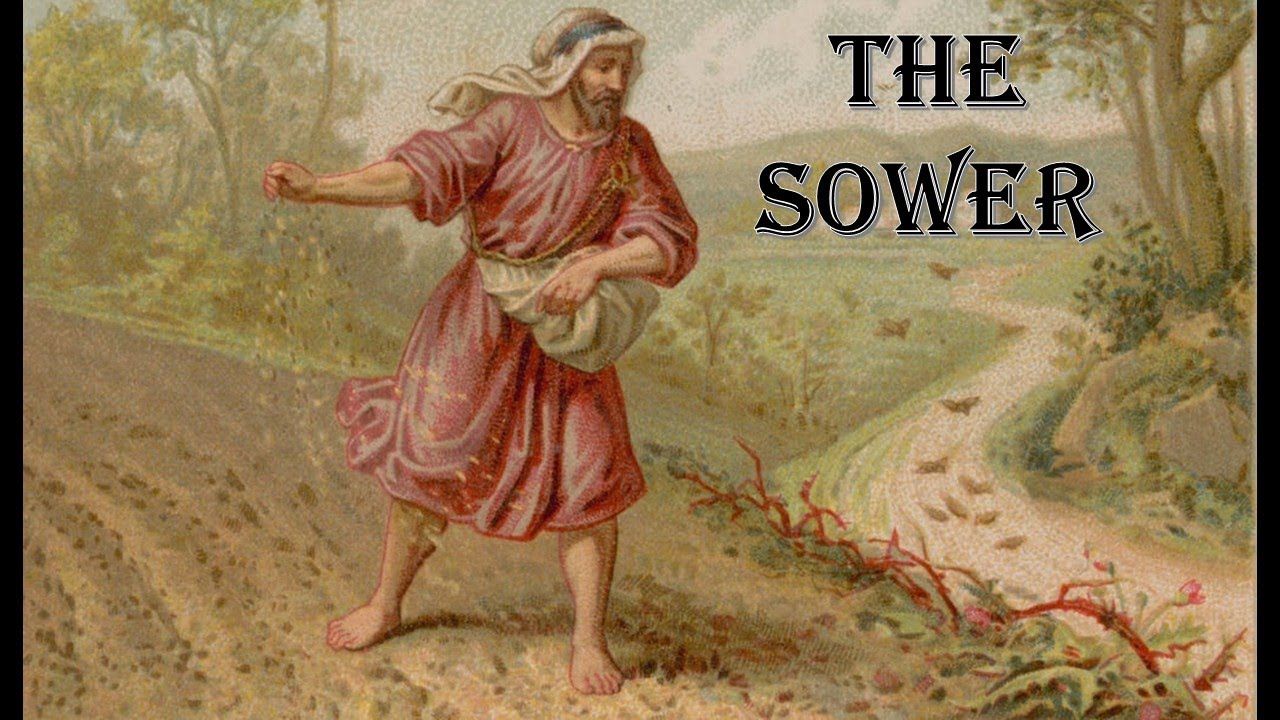 Parables of Jesus: The Sower