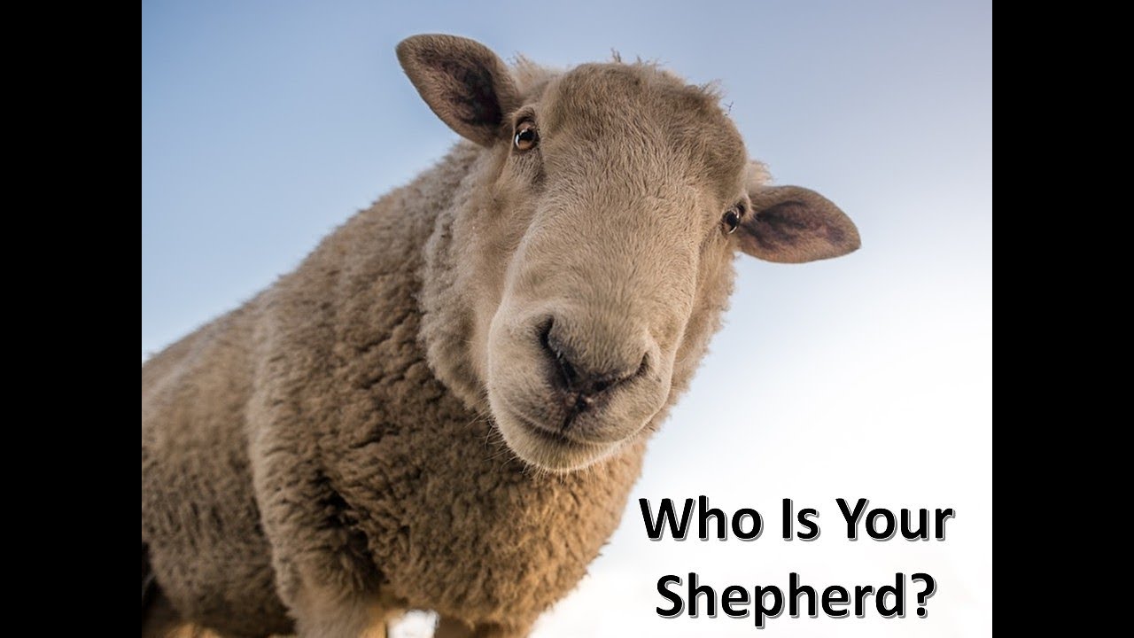 The Psalms: Who Is Your Shepherd?