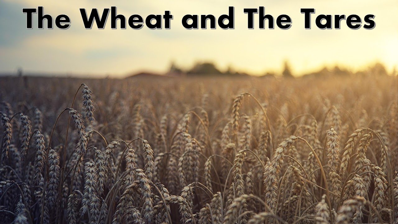 Parables of Jesus: The Wheat and The Tares