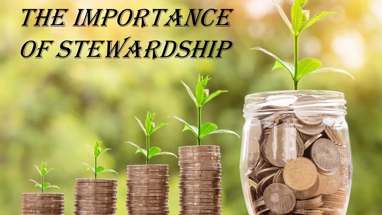 The Importance of Stewardship