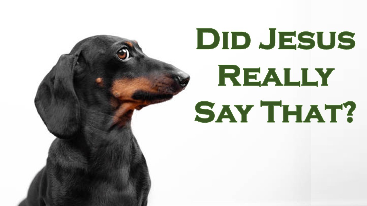 Did Jesus Really Say That: The Truth About MDR